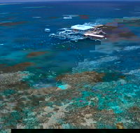 Quicksilver Outer Great Barrier Reef Snorkel Cruise from Port Douglas - Accommodation Sunshine Coast