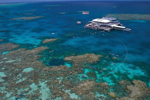 Quicksilver Outer Great Barrier Reef Snorkel Cruise From Port Douglas - Accommodation Sunshine Coast 0