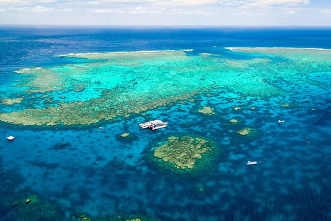 Quicksilver Outer Great Barrier Reef Snorkel Cruise From Port Douglas - Accommodation Sunshine Coast 5
