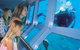 Quicksilver Outer Great Barrier Reef Snorkel Cruise From Port Douglas - thumb 8