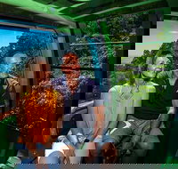 Skyrail Rainforest Cableway Day Trip from Palm Cove - Accommodation Sunshine Coast