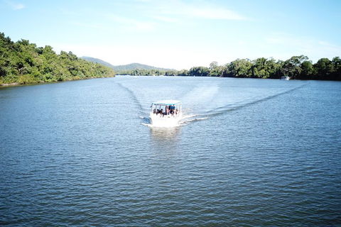1-Hour Daintree River Wildlife Cruise - Accommodation Sunshine Coast 9