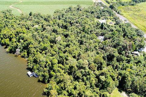 1-Hour Daintree River Wildlife Cruise - Accommodation Sunshine Coast 5