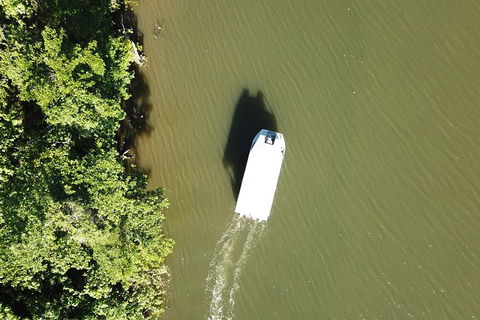 1-Hour Daintree River Wildlife Cruise - Accommodation Sunshine Coast 3