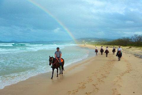 Rainbow Beach Horse Ride - Accommodation Sunshine Coast 1