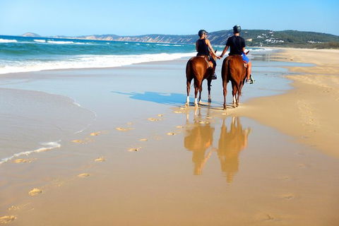 Rainbow Beach Horse Ride - Accommodation Sunshine Coast 3
