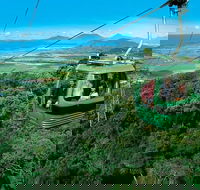 Small-Group Kuranda Village Skyrail Cableway and Scenic Railway Day Trip from Port Douglas - Accommodation Sunshine Coast