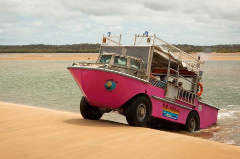 Town Of 1770 Afternoon Cruise - Accommodation Sunshine Coast 1