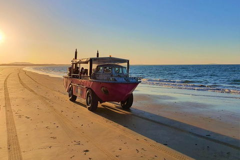 Town Of 1770 Afternoon Cruise - Accommodation Sunshine Coast 6