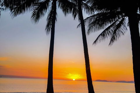 Airport Transfers Between Cairns Airport And Port Douglas - Accommodation Sunshine Coast 6