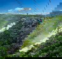 Skyrail Rainforest Cableway Day Trip from Port Douglas - Accommodation Sunshine Coast