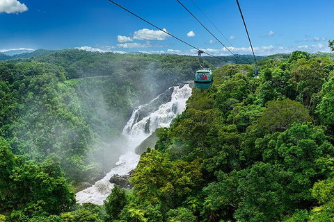 Skyrail Rainforest Cableway Day Trip From Port Douglas - Accommodation Sunshine Coast 0