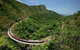 Skyrail Rainforest Cableway Day Trip From Port Douglas - thumb 4
