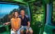 Skyrail Rainforest Cableway Day Trip From Port Douglas - thumb 7
