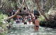 Overnight Fraser Island Camping Safari From Brisbane - thumb 1