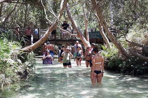 Overnight Fraser Island Camping Safari From Brisbane - Accommodation Sunshine Coast 3