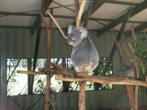 Brisbane Afternoon Tour To XXXX Brewery And Mt Coot-tha - Accommodation Sunshine Coast 3