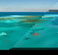 Great Barrier Reef Dive and Snorkel Cruise from Mission Beach - Accommodation Sunshine Coast