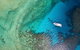Great Barrier Reef Dive And Snorkel Cruise From Mission Beach - thumb 3