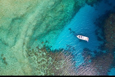 Great Barrier Reef Dive And Snorkel Cruise From Mission Beach - Accommodation Sunshine Coast 3