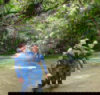 Mossman River Drift Snorkelling from Port Douglas or Mossman - Accommodation Sunshine Coast