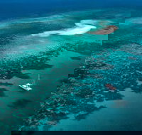 Outer Barrier Reef Sailing and Snorkeling Adventure from Port Douglas - Accommodation Sunshine Coast