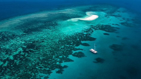 Outer Barrier Reef Sailing And Snorkeling Adventure From Port Douglas - Accommodation Sunshine Coast 0