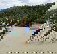 Private Daintree Wanderer Tour - Accommodation Sunshine Coast