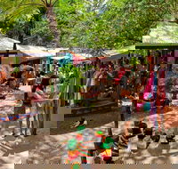 Kuranda Day Trip small group from Port Douglas by bus - Accommodation Sunshine Coast