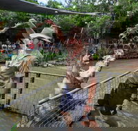 Hartley's Crocodile Adventures Day Trip from Cairns - Accommodation Sunshine Coast