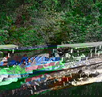 Daintree River Cruise - Accommodation Sunshine Coast