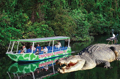 Daintree River Cruise - Accommodation Sunshine Coast 0
