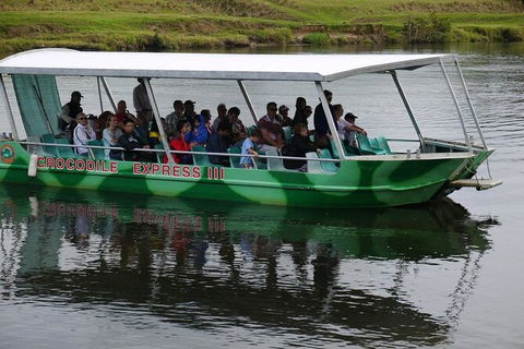 Daintree River Cruise - Accommodation Sunshine Coast 2
