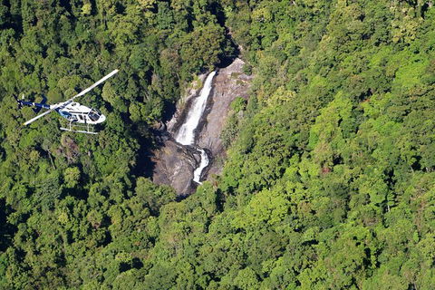 Scenic Reef & Rainforest Helicopter Flight From Port Douglas - Accommodation Sunshine Coast 1