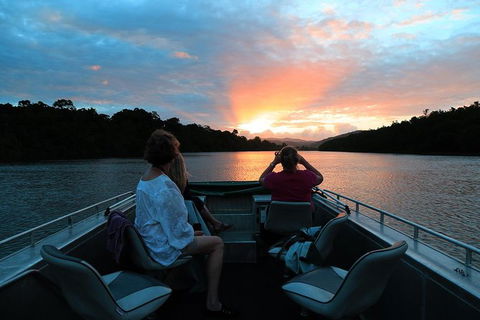 Daintree River Sunset Cruise - Accommodation Sunshine Coast 2