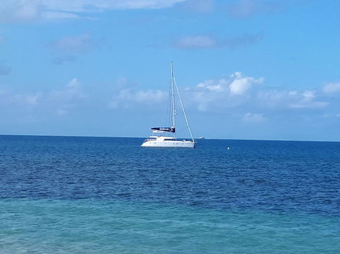 Afternoon Low Isles Snorkeling And Sailing Cruise From Port Douglas - Accommodation Sunshine Coast 7