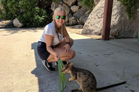 Magnetic Island Tour: Maggie Comprehensive - Accommodation Sunshine Coast 9