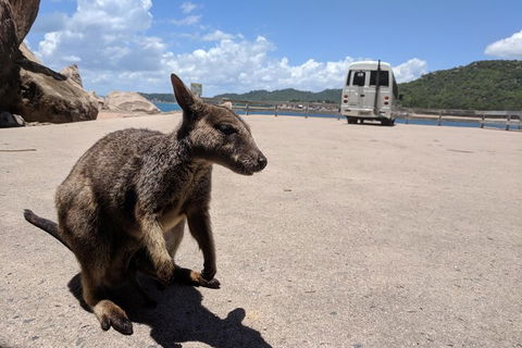 Magnetic Island Tour: Maggie Comprehensive - Accommodation Sunshine Coast 2