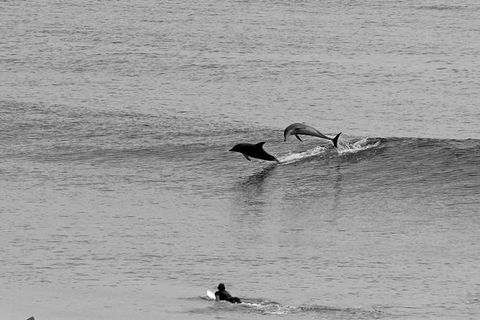Overnight Tweed Coast Camping And Surfing Getaway From The Gold Coast - Accommodation Sunshine Coast 0