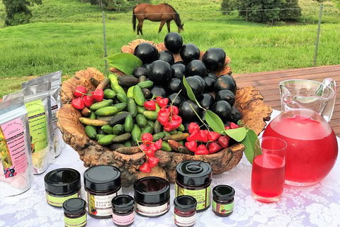 Atherton Tablelands Small-Group Food & Wine Tasting Tour From Port Douglas - Accommodation Sunshine Coast 12