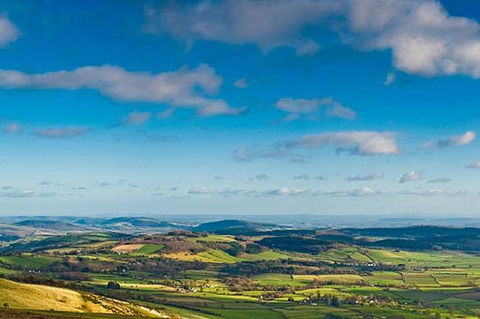 Atherton Tablelands Small-Group Food & Wine Tasting Tour From Port Douglas - Accommodation Sunshine Coast 20