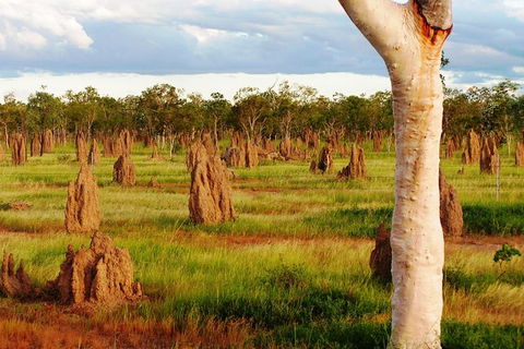 Atherton Tablelands Small-Group Food & Wine Tasting Tour From Port Douglas - Accommodation Sunshine Coast 18