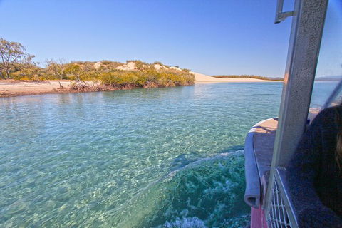 1770 Coastline Tour By LARC Amphibious Vehicle Including Picnic Lunch - Accommodation Sunshine Coast 12