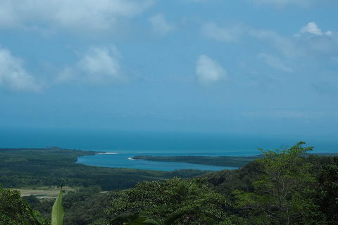 Cape Tribulation, Daintree Rainforest And Wildlife Tour - Accommodation Sunshine Coast 7