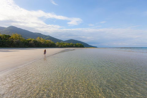 Cape Tribulation, Daintree Rainforest And Wildlife Tour - Accommodation Sunshine Coast 6