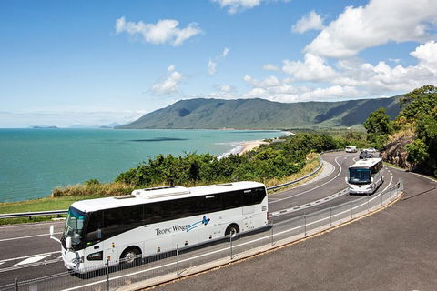 Cape Tribulation, Daintree Rainforest And Wildlife Tour - Accommodation Sunshine Coast 3