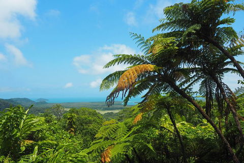 Cape Tribulation, Daintree Rainforest And Wildlife Tour - Accommodation Sunshine Coast 5