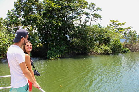 Cape Tribulation, Daintree Rainforest And Wildlife Tour - Accommodation Sunshine Coast 8