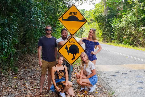 Cape Tribulation, Daintree Rainforest And Wildlife Tour - Accommodation Sunshine Coast 10