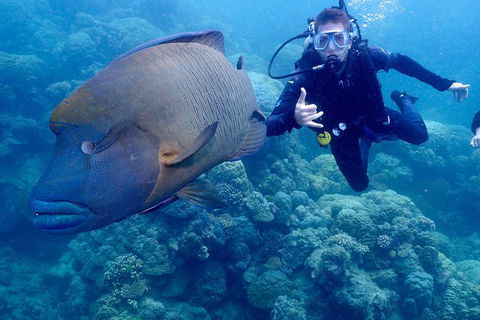 Calypso Outer Great Barrier Reef Cruise From Port Douglas - Accommodation Sunshine Coast 6